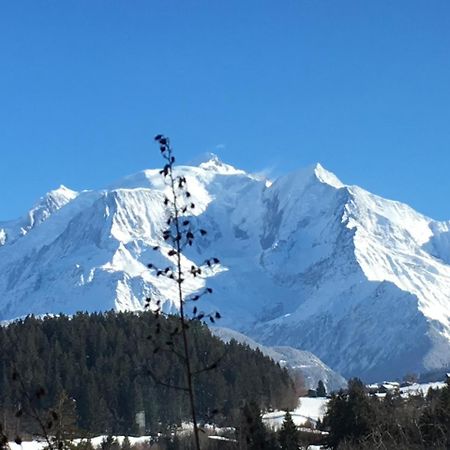 ホテルLes 4 Vallees アルベールヴィル エクステリア 写真